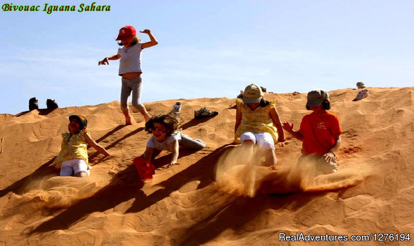 IGUANASAHARATOURS MARRAKECH MOROCCO 4x4 | Traveling In Morocco Day Tours Marrakech | Image #7/25 | 