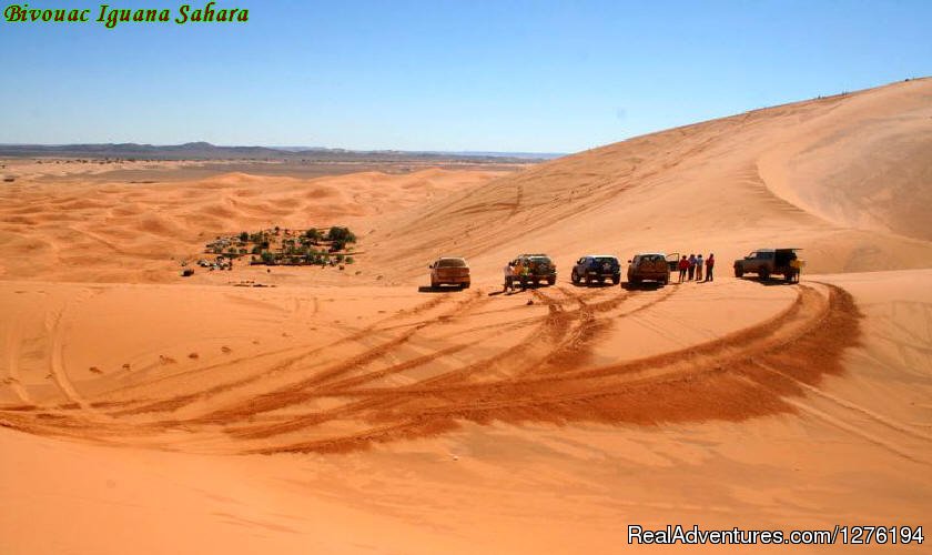 IGUANASAHARATOURS MARRAKECH MOROCCO 4x4 | Traveling In Morocco Day Tours Marrakech | Image #12/25 | 