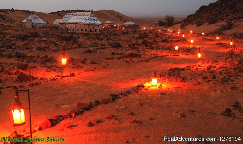 IGUANASAHARATOURS MARRAKECH MOROCCO 4x4 | Traveling In Morocco Day Tours Marrakech | Image #13/25 | 