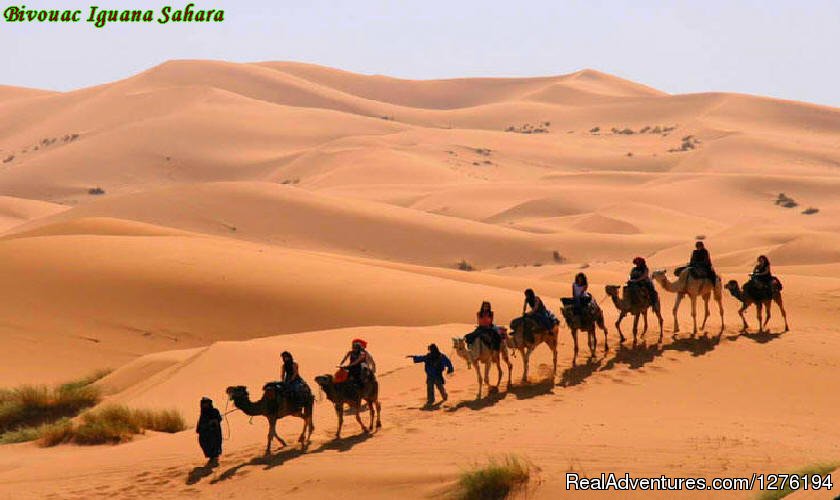 IGUANASAHARATOURS MARRAKECH MOROCCO 4x4 | Traveling In Morocco Day Tours Marrakech | Image #18/25 | 