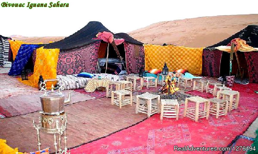 IGUANASAHARATOURS MARRAKECH MOROCCO 4x4 | Traveling In Morocco Day Tours Marrakech | Image #19/25 | 