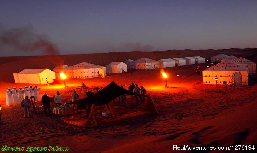 IGUANASAHARATOURS MARRAKECH MOROCCO 4x4 | Traveling In Morocco Day Tours Marrakech | Image #21/25 | 