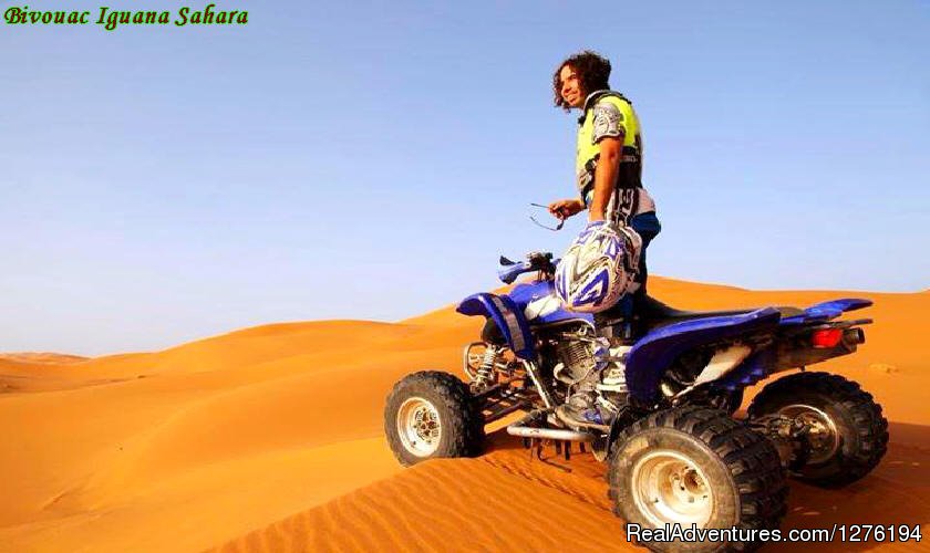 IGUANASAHARATOURS MARRAKECH MOROCCO 4x4 | Traveling In Morocco Day Tours Marrakech | Image #24/25 | 