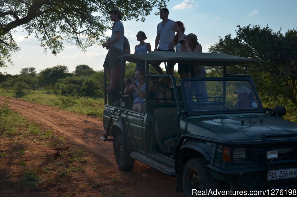 Giraffe tracking | Wildlife Volunteering South Africa | Image #4/12 | 