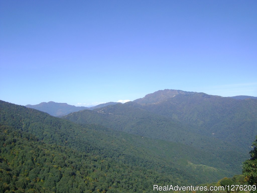 Singalila Trek - DARJEELING | Image #3/5 | 