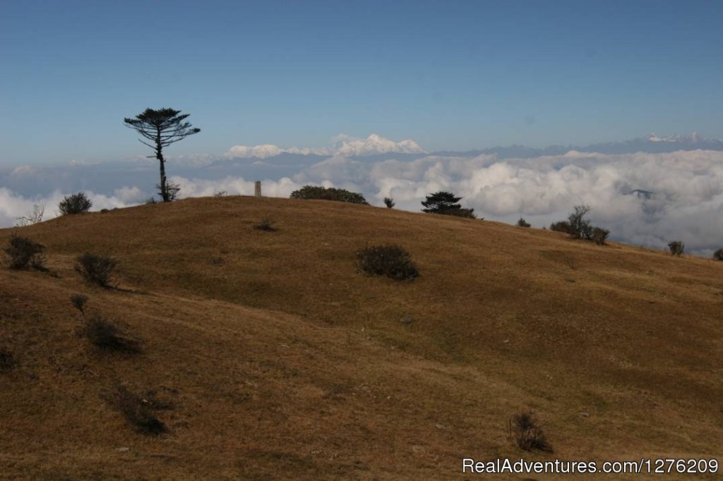 Singalila Trek - DARJEELING | Image #4/5 | 