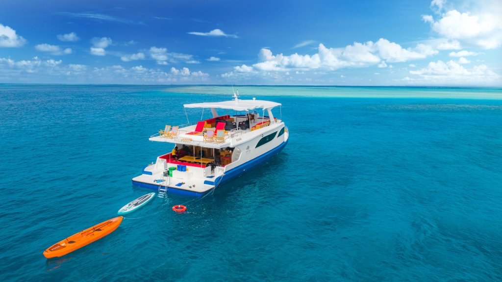 New: 7 Nights Snorkel Cruise | Image #3/16 | 