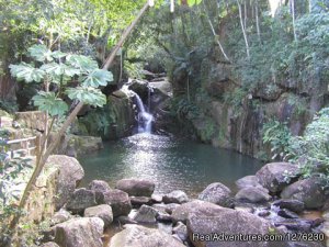 Writing & Yoga Workshops | Garopaba, Brazil | Yoga Retreats & Programs