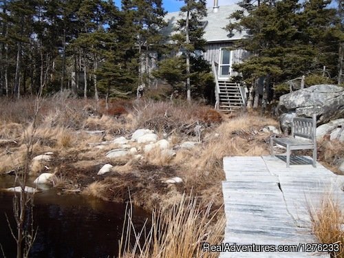 Blueberry Bay Cottage Rental | Image #7/7 | 