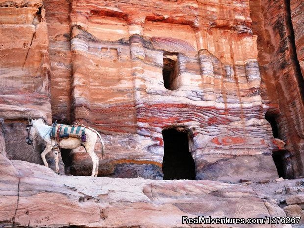 Petra - Treasury | Jordan On Low Budget | Image #3/11 | 