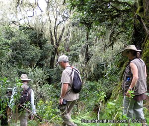 Mount Kilimanjaro Trekking - Machame Route