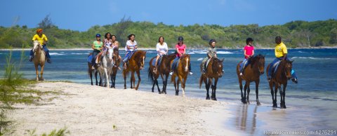 Beach Ride