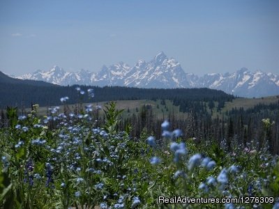 Splended beauty | Summer Get Away on Horses With Boulder Basin Outf | Image #2/4 | 