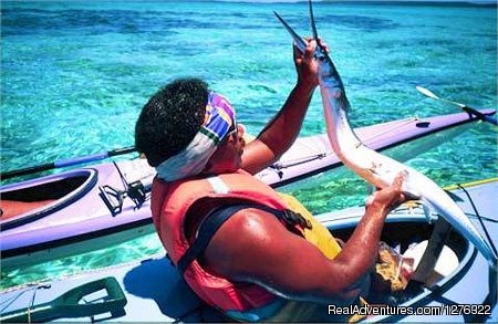 Long Tom for Dinner Anyone? | Friendly Islands Kayak Company, Kingdom Of Tonga | Image #3/25 | 