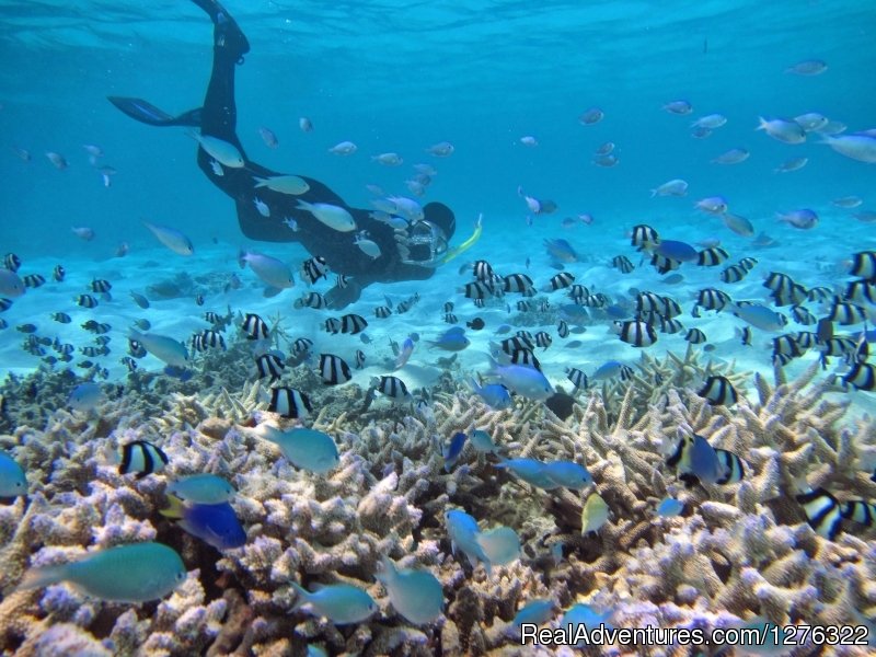 Snorkelling at its Best | Friendly Islands Kayak Company, Kingdom Of Tonga | Image #15/25 | 