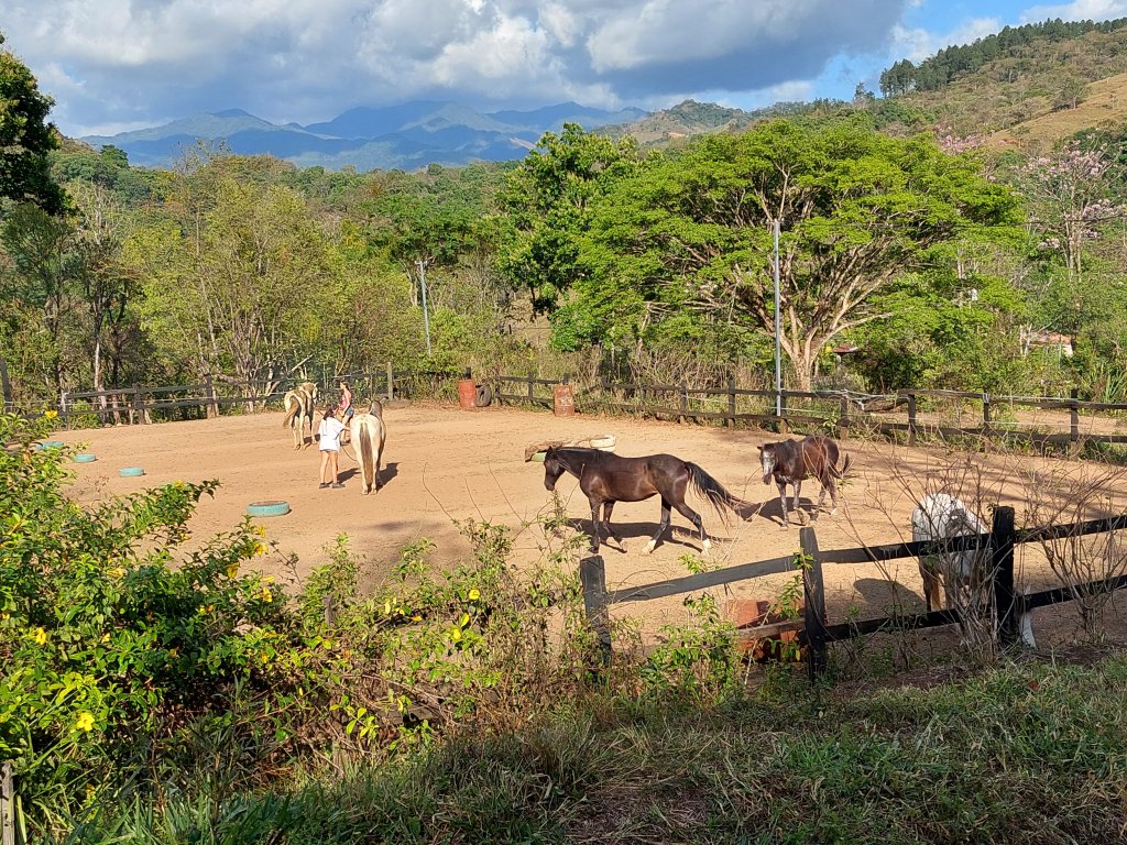 The Ring | Natural horsemanship B&B | Image #5/6 | 