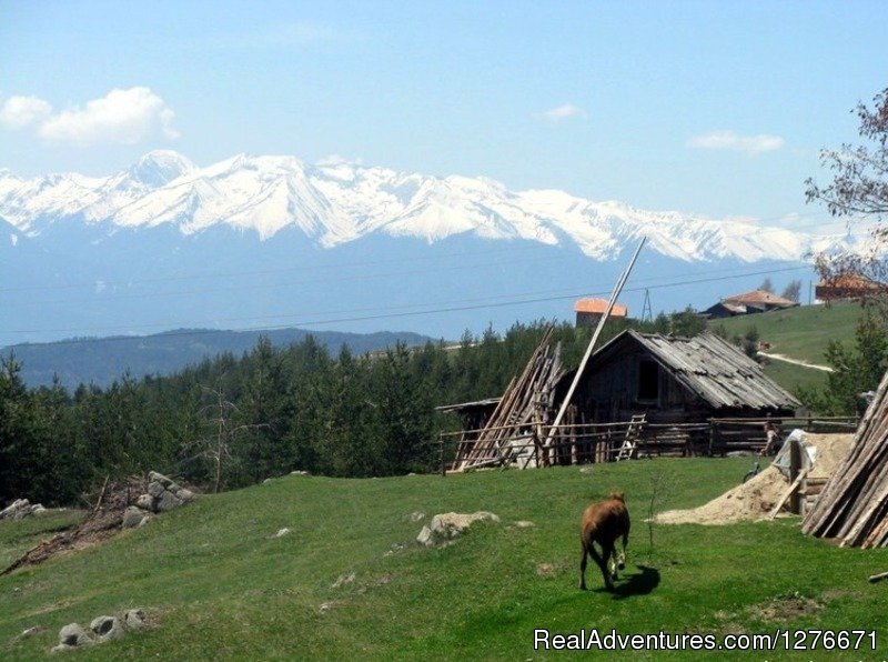 Pirin Mountains seen from the Rhodopes | Hiking in Bulgaria with a Private Guide | Image #17/23 | 