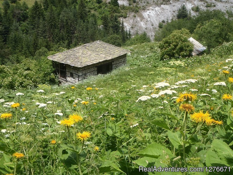 Western Rhodopes, close to the Miraculous Bridges | Hiking in Bulgaria with a Private Guide | Image #19/23 | 