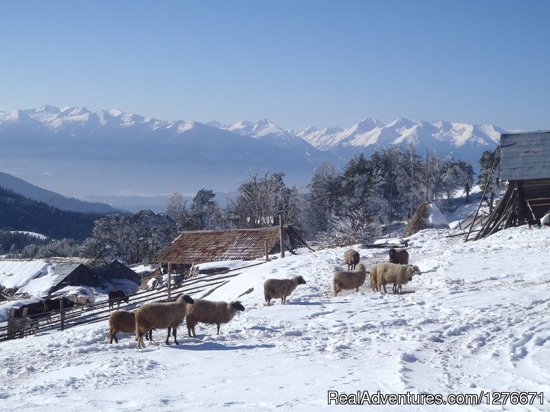 Snowshoeing in Rhodopes | Hiking in Bulgaria with a Private Guide | Image #21/23 | 