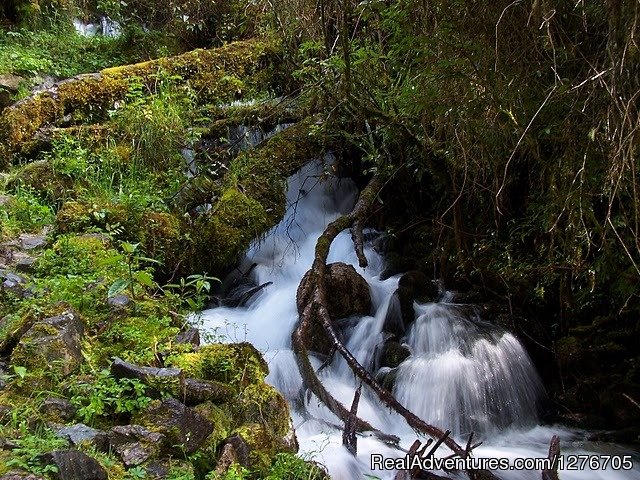 Inca Trail To Machu Picchu | Inca Trail | Image #19/19 | 