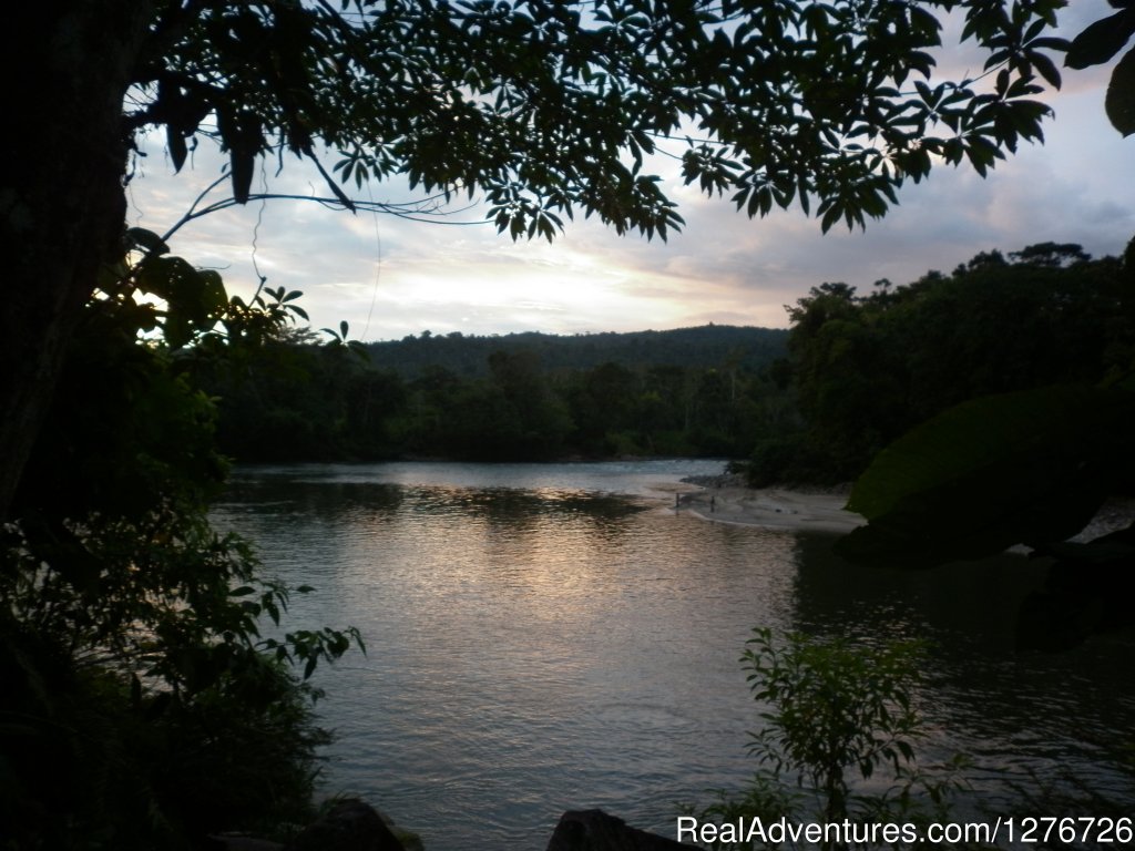 Terrace, Banana Lodge | Ecuadorian Jungle on a budget Banana Lodge | Misahualli, Ecuador | Bed & Breakfasts | Image #1/5 | 