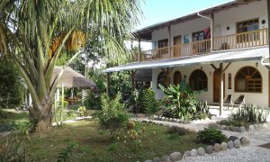 Ecuadorian Jungle on a budget Banana Lodge