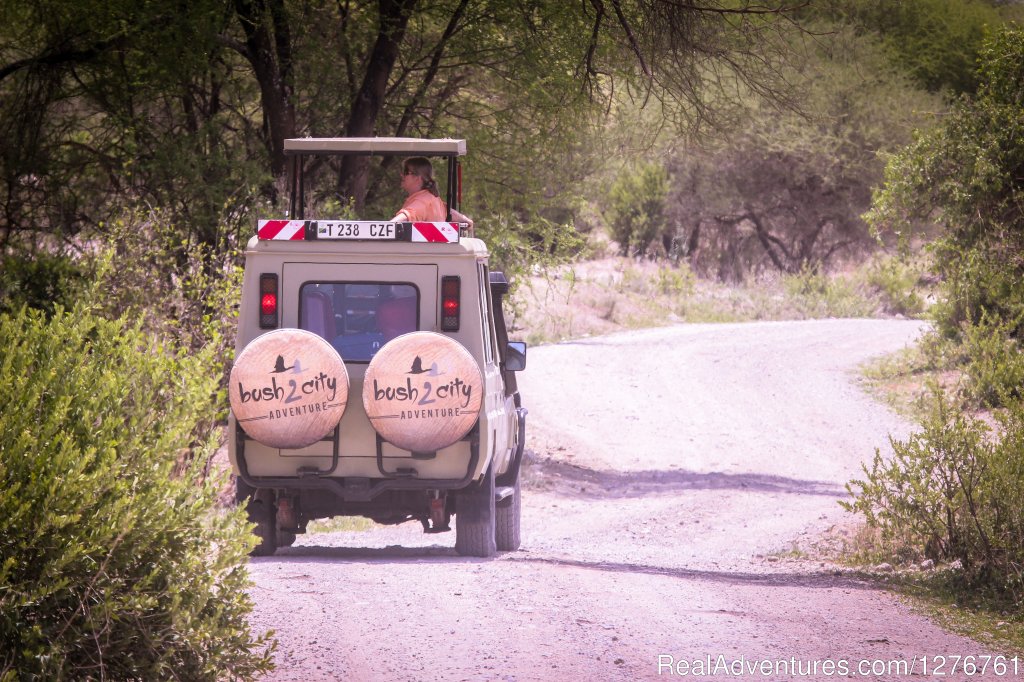 Game Viewing | 12 Days Kenya and Tanzania Wildlife Safari | Image #5/26 | 