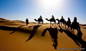 Private Morocco Tours