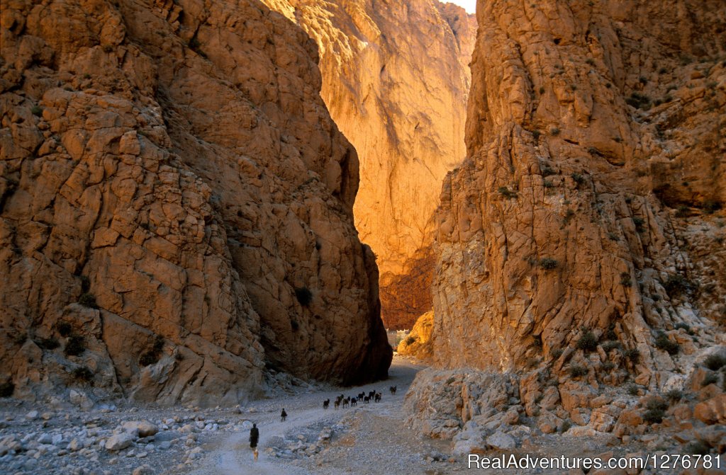 Daily Morocco Desert Tours from Marrakech | Temara - Rabat, Morocco | Hiking & Trekking | Image #1/11 | 