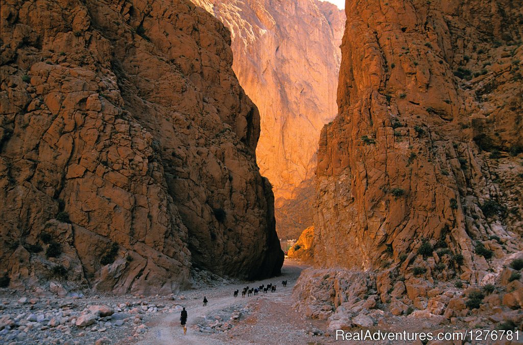 Daily Morocco Desert Tours from Marrakech | Image #7/11 | 