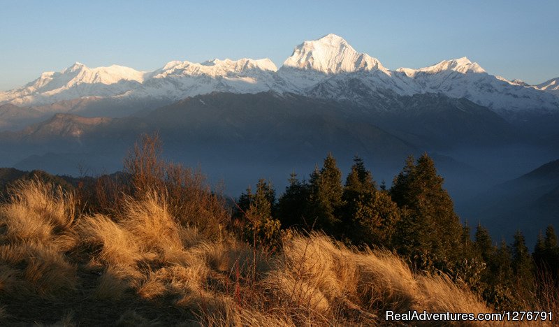 View from Poon hill | Poon Hill | Image #2/4 | 