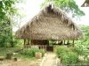 Authentic Garifuna Culture at Warasa Drum School | Punta Gorda, Belize