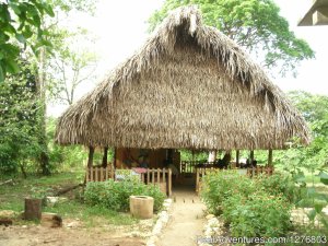 Authentic Garifuna Culture at Warasa Drum School