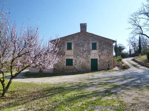 Farmhouse Casale del Noce