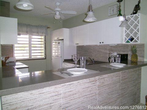 Renovated Kitchen