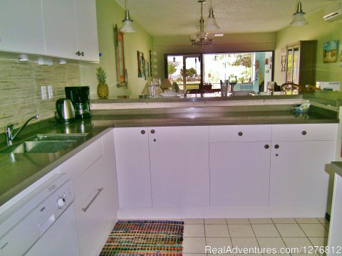 Renovated Kitchen