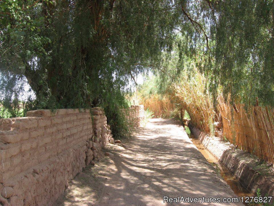 Surroundings | Atacama Desert Chile lodging | Image #4/8 | 