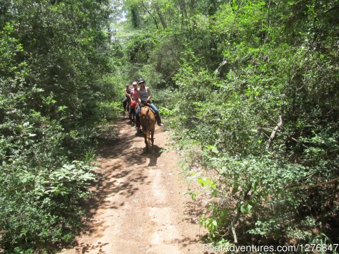 Miles of trails: