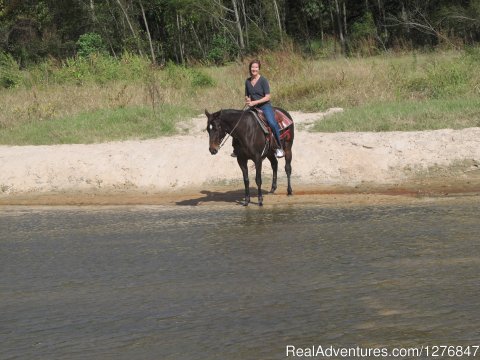 Walk with us through the creek: