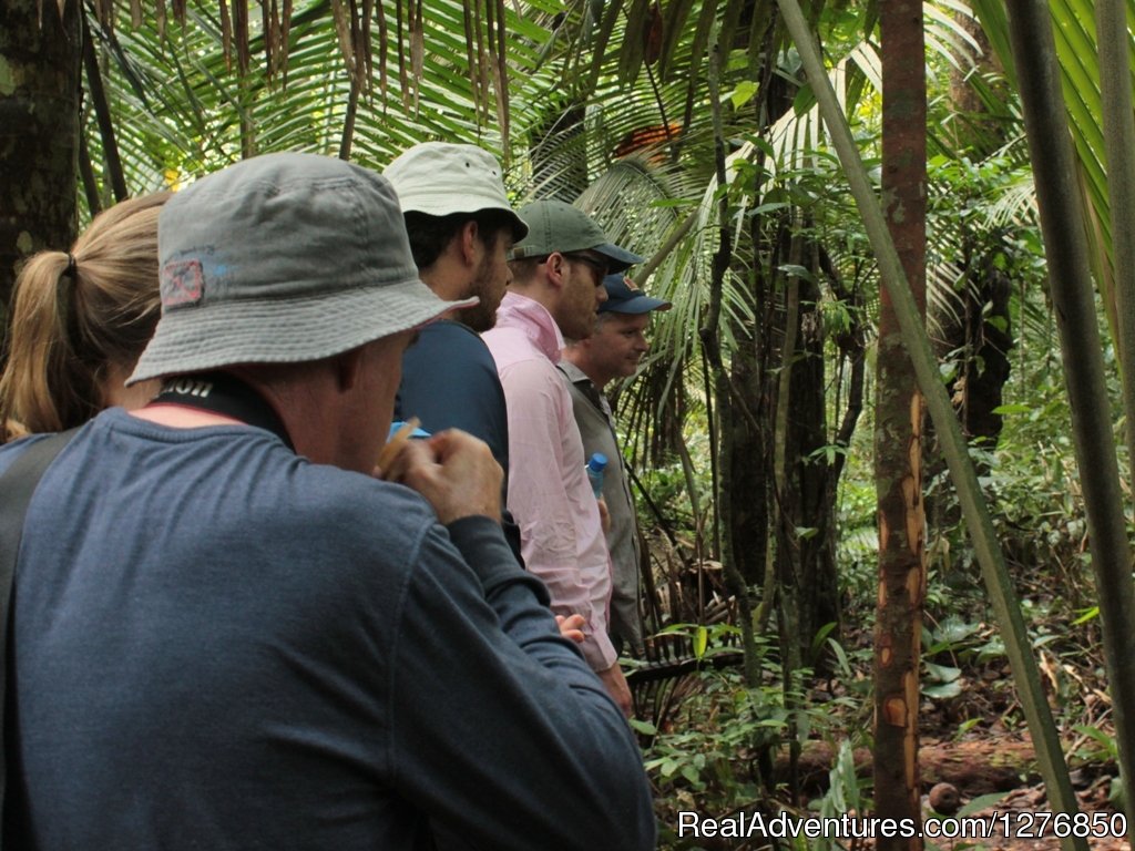 Hiking | Amazon Jungle Tour | Image #26/26 | 