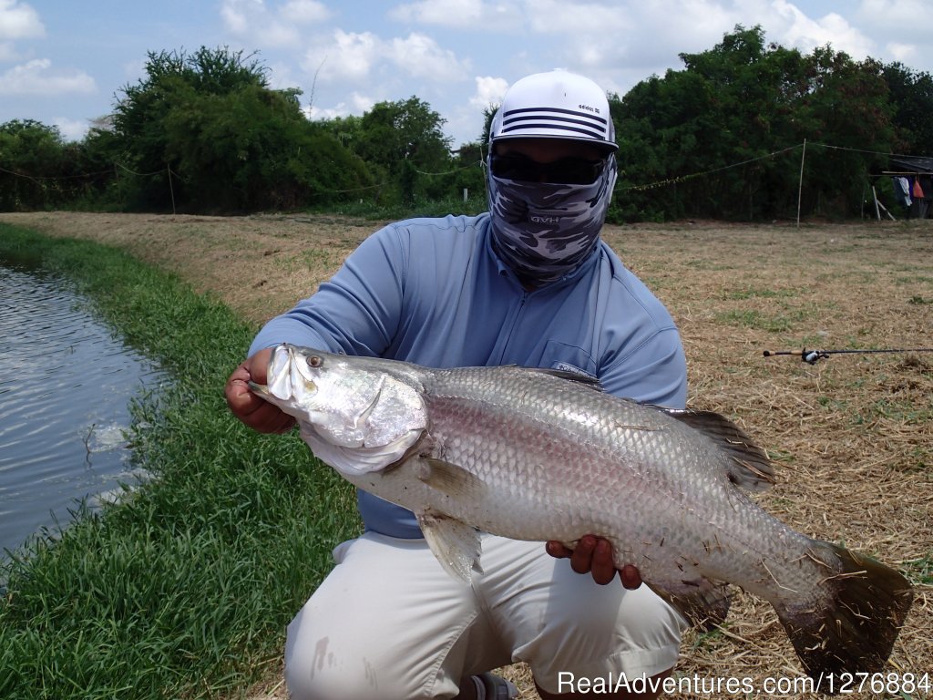 Guided Fishing Trips In/Around Bangkok | Image #2/20 | 