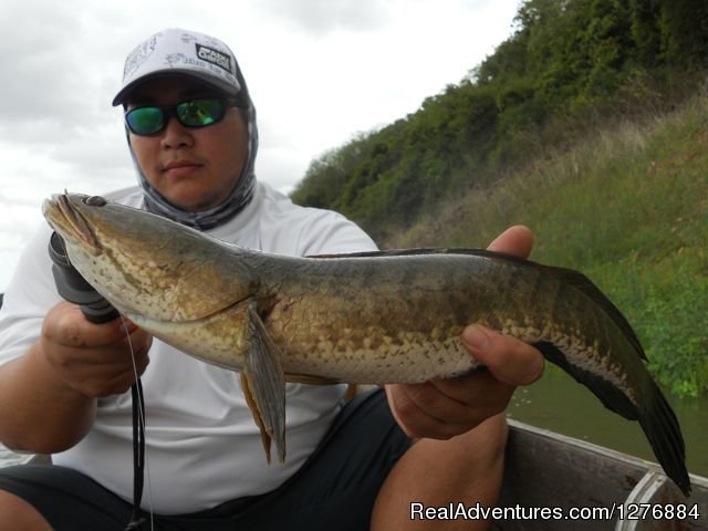 Guided Fishing Trips In/Around Bangkok | Image #16/20 | 