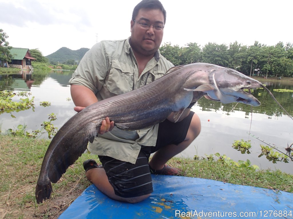 Guided Fishing Trips In/Around Bangkok | Image #19/20 | 