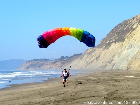 Unexpected  treat along the beach to San Francisco