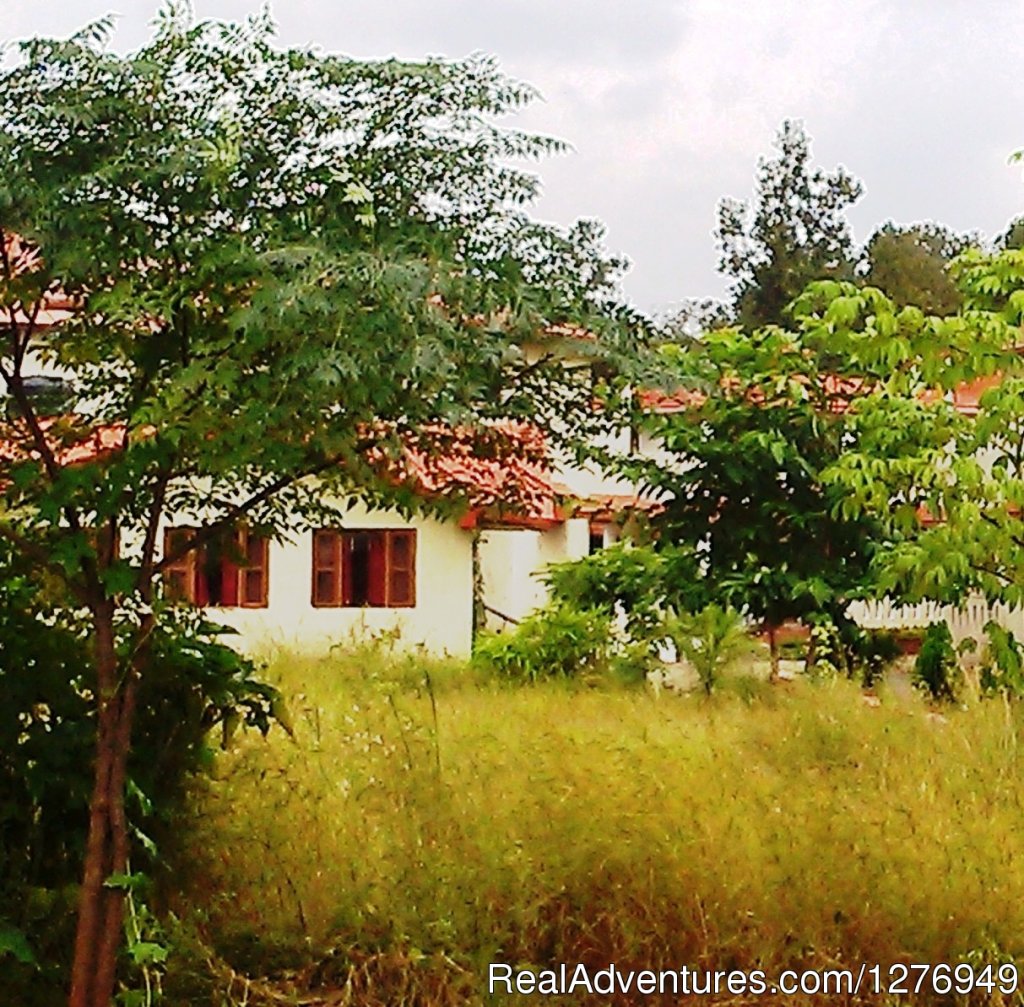 Grand Tiger Resort, Kanha National Park | Image #4/7 | 