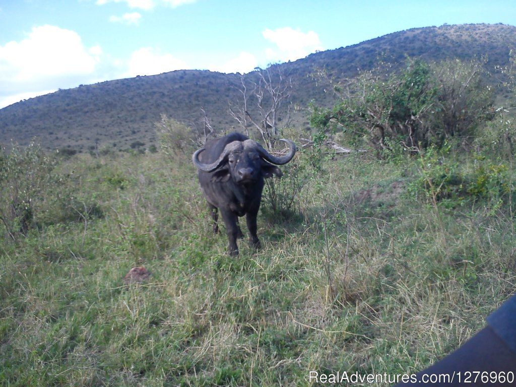 Boat Riding In Naivasha | Budget Kenya safari,Safari to Kenya,Africa Travel | Image #2/7 | 