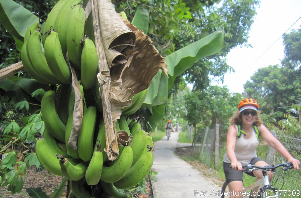 BIKING 5 days/4 nights - MEKONG DELTA | Image #2/8 | 