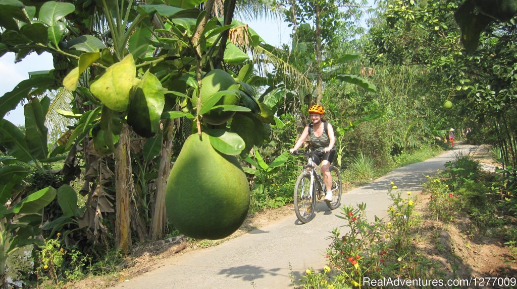 BIKING 5 days/4 nights - MEKONG DELTA | Image #3/8 | 