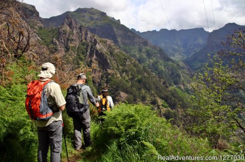 Hiking in Madeira