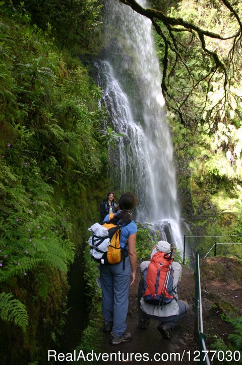 Waterfall in Madeira